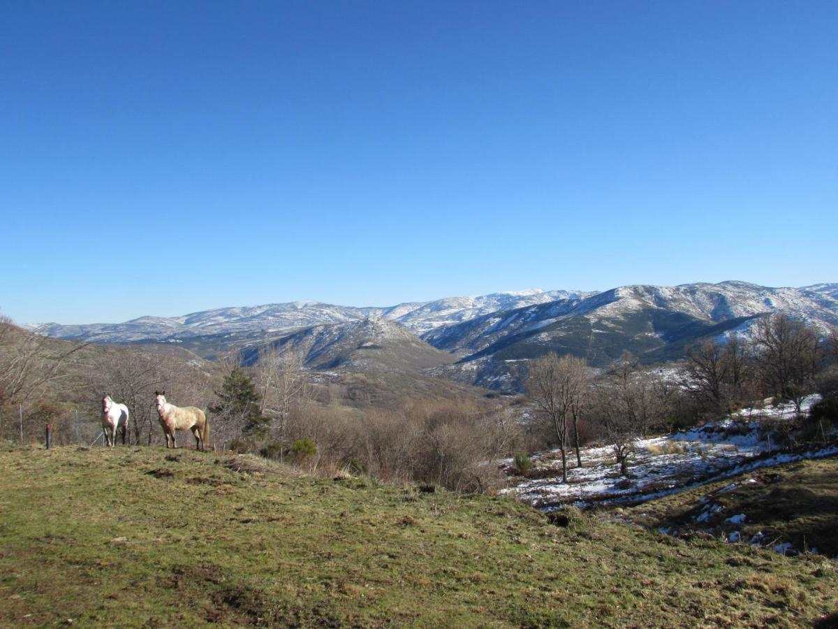 Atardecer En Gredos 1 Villa San Bartolome de Tormes Ngoại thất bức ảnh